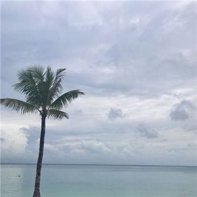 佩琪美化包最新版框架下载安装