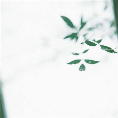 神魔之圣域争夺九游版